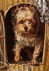 Anthony Frederick Sandys Canvas Paintings - Darby in his Basket Kennel